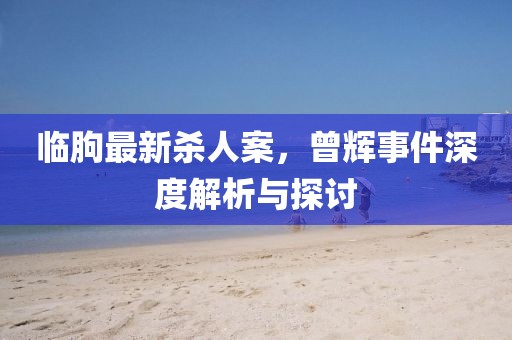 臨朐最新殺人案，曾輝事件深度解析與探討