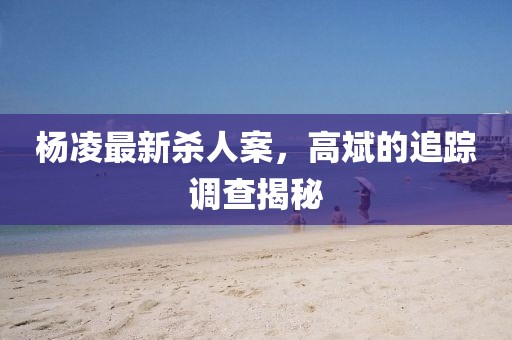 楊凌最新殺人案，高斌的追蹤調(diào)查揭秘