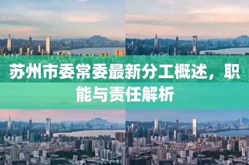 蘇州市委常委最新分工概述，職能與責(zé)任解析