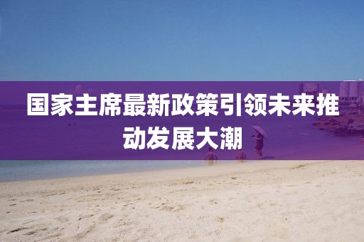 國家主席最新政策引領(lǐng)未來推動發(fā)展大潮
