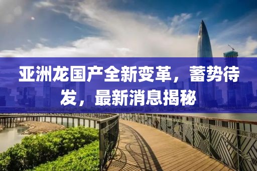 亞洲龍國產(chǎn)全新變革，蓄勢(shì)待發(fā)，最新消息揭秘