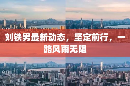 劉鐵男最新動態(tài)，堅定前行，一路風(fēng)雨無阻