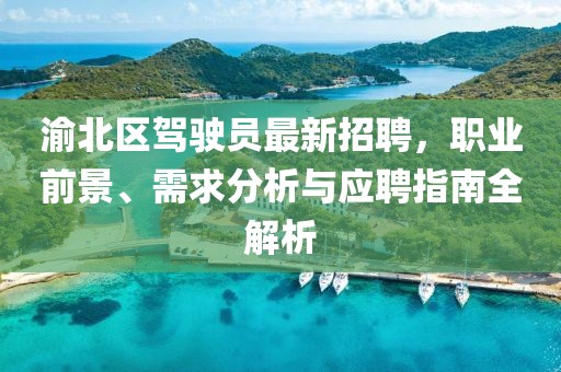 渝北區(qū)駕駛員最新招聘，職業(yè)前景、需求分析與應(yīng)聘指南全解析