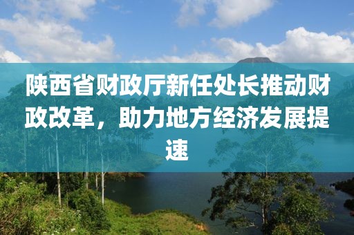 陜西省財政廳新任處長推動財政改革，助力地方經(jīng)濟發(fā)展提速