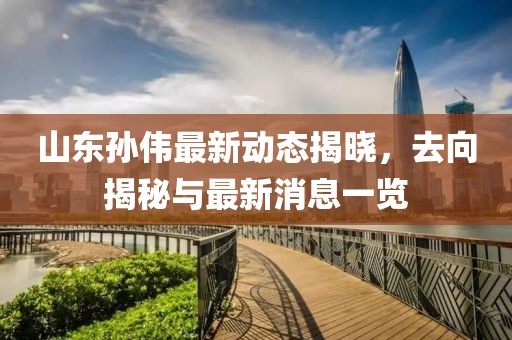 山東孫偉最新動(dòng)態(tài)揭曉，去向揭秘與最新消息一覽