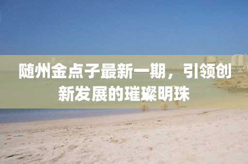 隨州金點(diǎn)子最新一期，引領(lǐng)創(chuàng)新發(fā)展的璀璨明珠