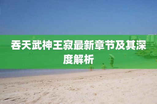 吞天武神王寂最新章節(jié)及其深度解析