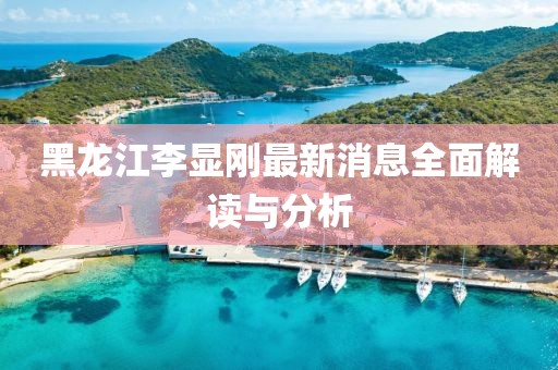 黑龍江李顯剛最新消息全面解讀與分析