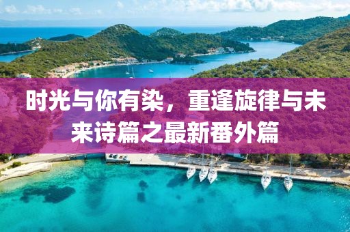 時光與你有染，重逢旋律與未來詩篇之最新番外篇