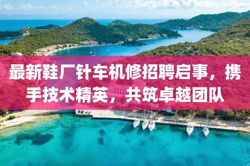 最新鞋廠針車機(jī)修招聘啟事，攜手技術(shù)精英，共筑卓越團(tuán)隊(duì)