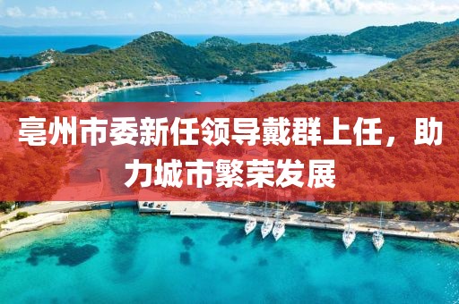 亳州市委新任領(lǐng)導戴群上任，助力城市繁榮發(fā)展