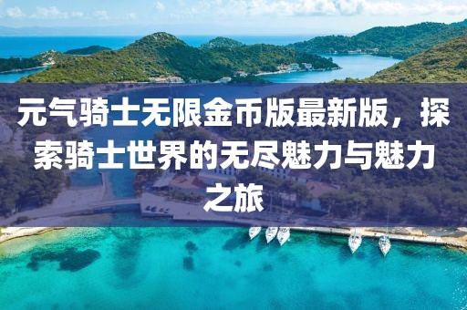 元?dú)怛T士無限金幣版最新版，探索騎士世界的無盡魅力與魅力之旅