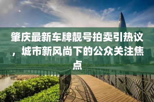 肇慶最新車牌靚號拍賣引熱議，城市新風尚下的公眾關注焦點