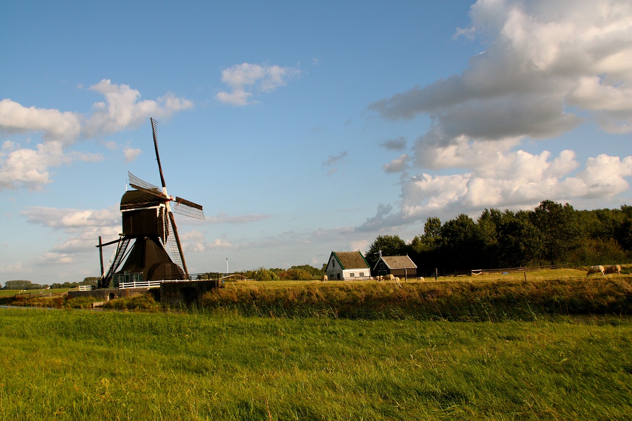 蕪湖古城改造最新動(dòng)態(tài)，重塑歷史風(fēng)貌，煥發(fā)新城活力