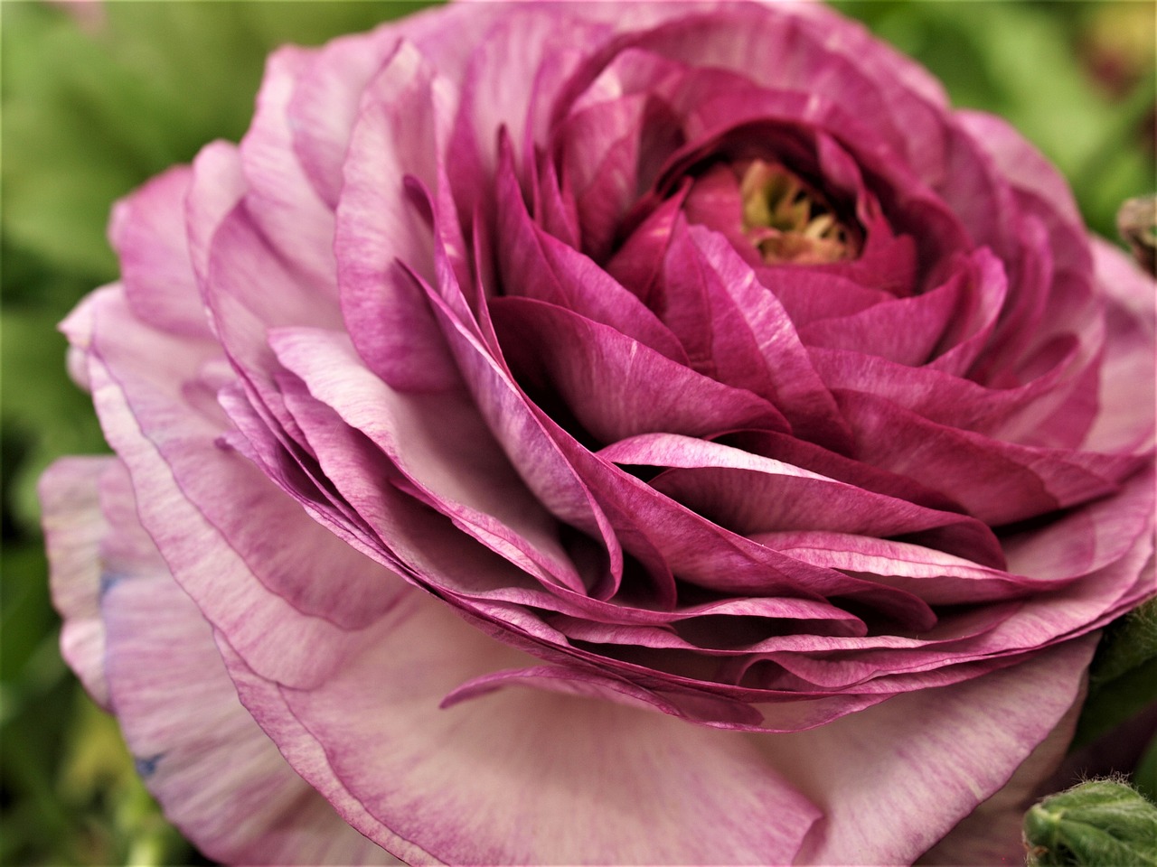 東和環(huán)保引領(lǐng)綠色發(fā)展，先鋒力量展現(xiàn)最新環(huán)保動態(tài)