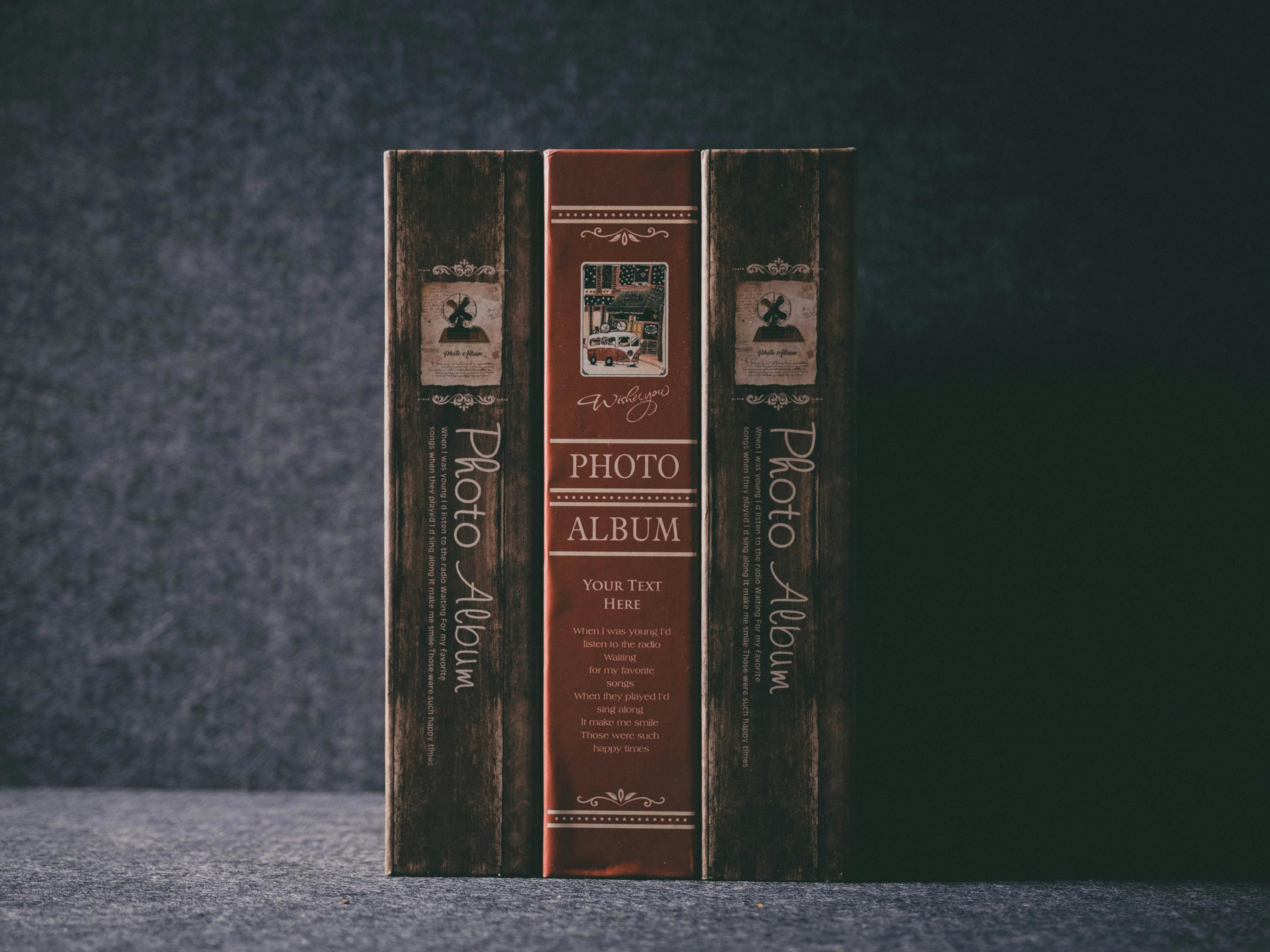 儀隴新聞網(wǎng)最新爆料解析，地區(qū)新動態(tài)與熱點話題深度探討