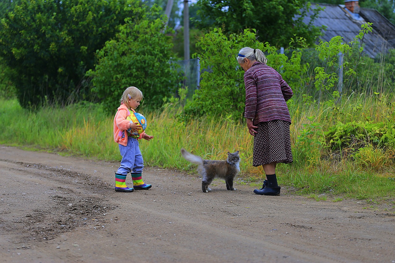 最新農(nóng)村愛情電視劇，鄉(xiāng)村生活的浪漫與真實之旅