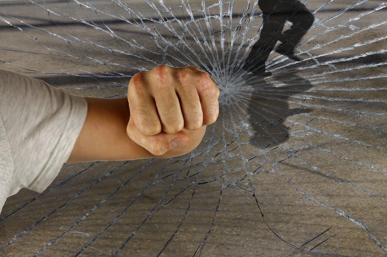 龍的世界最新破解版，警示違法犯罪的虛擬世界風(fēng)險(xiǎn)揭秘