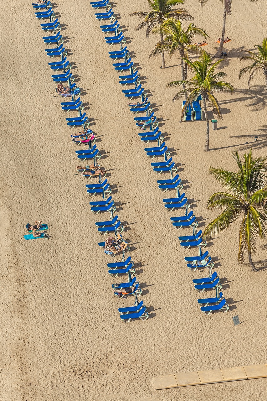 愛口袋最新版下載探索，最新體驗(yàn)之旅