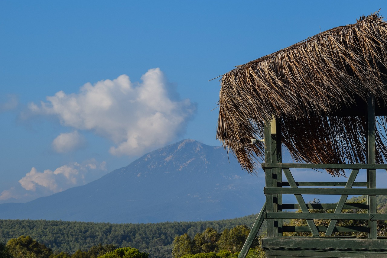 信通中國郝金玉的最新新聞動(dòng)態(tài)及其影響力概述