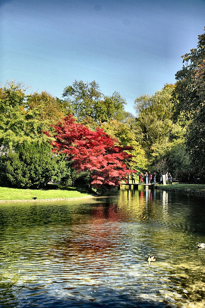 淄博環(huán)保廳推動綠色轉(zhuǎn)型，共建生態(tài)淄博的最新動態(tài)