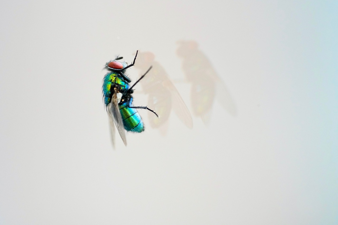 天天炫斗血爺戰(zhàn)力傲視群雄，最新戰(zhàn)力震撼來襲