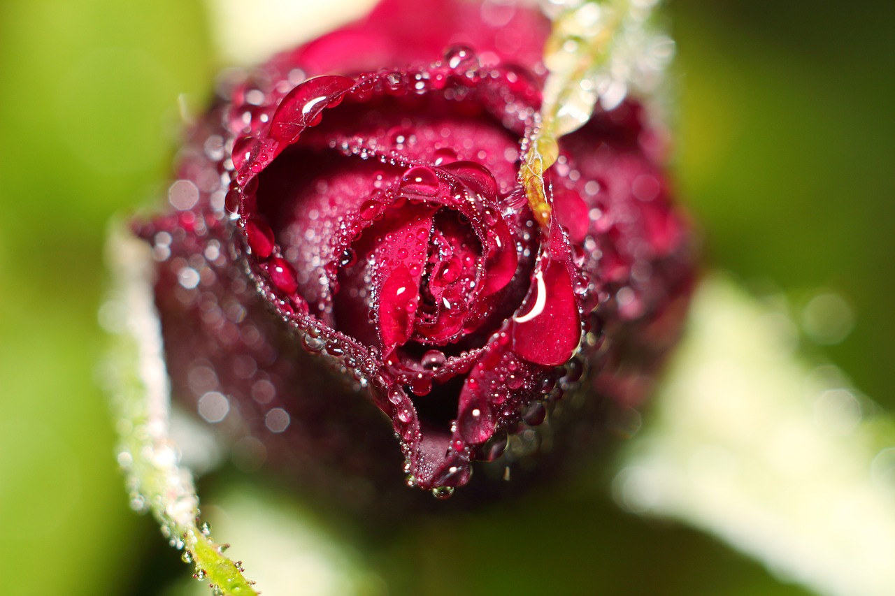 授之溫存 第27頁