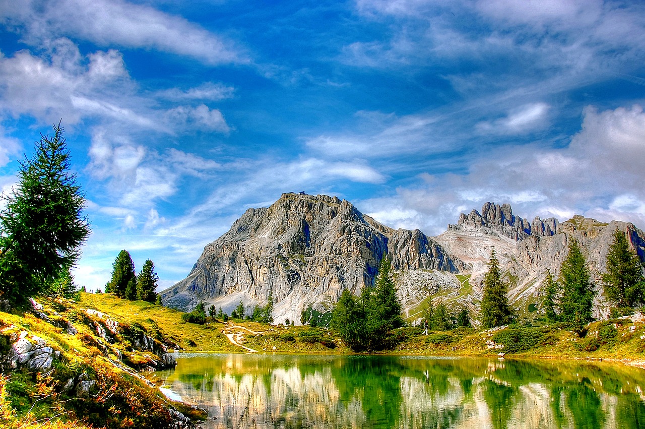 大連東北特鋼最新動態(tài)解析，全面關注最新消息