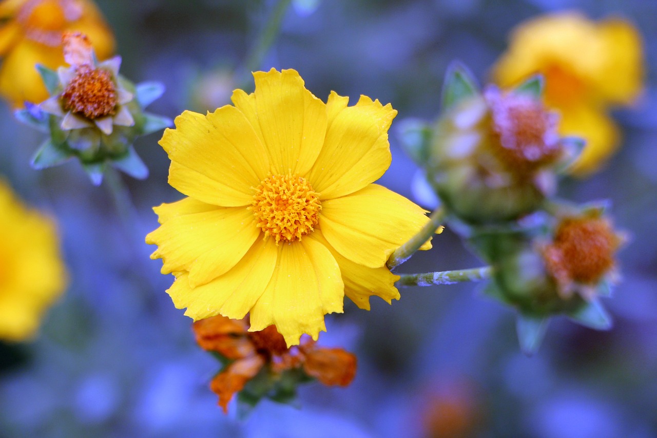 范冰冰最新動(dòng)態(tài)，閃耀全球的巨星風(fēng)采依舊