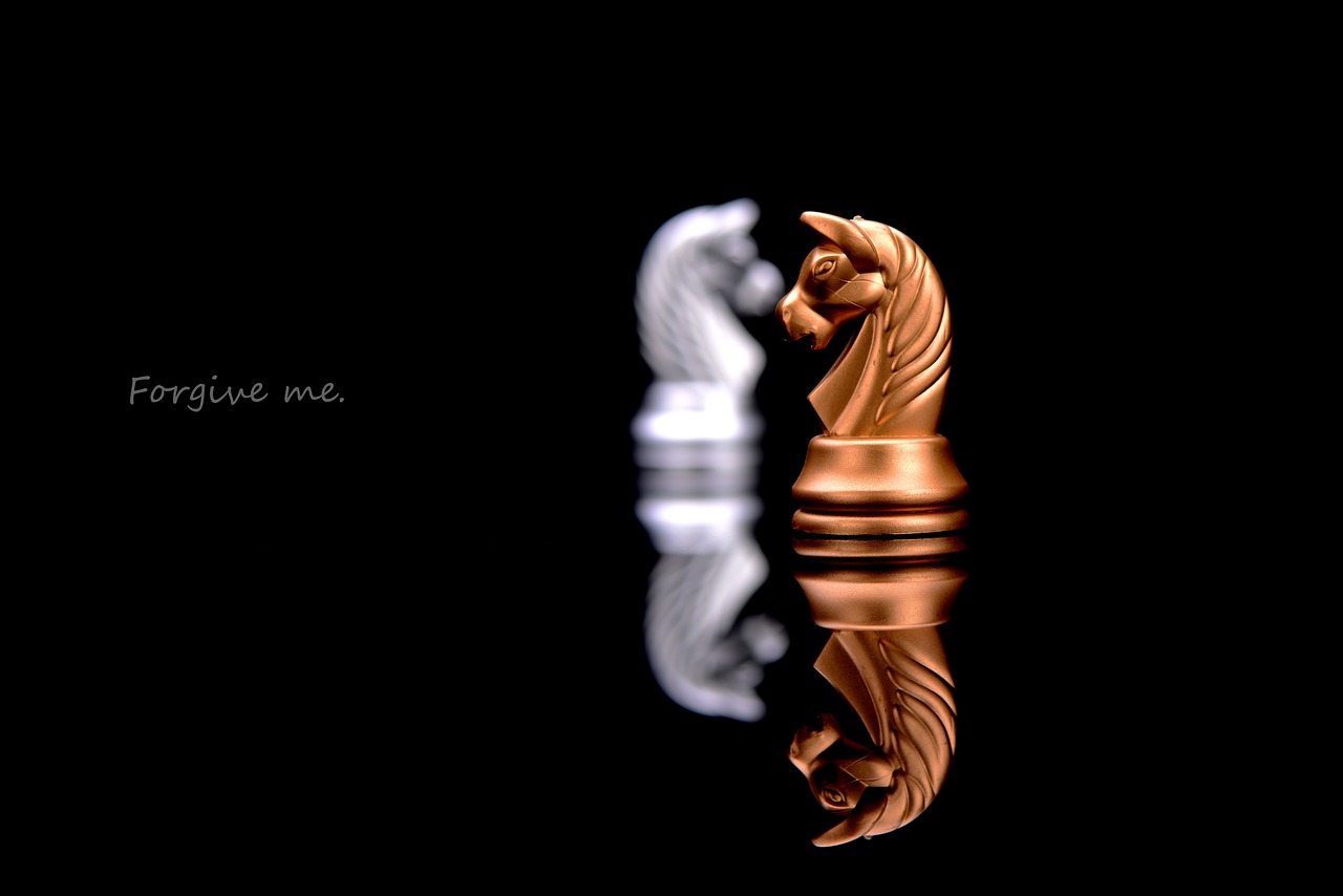 舟山沉船事件最新動(dòng)態(tài)，全面解析事件進(jìn)展與后續(xù)關(guān)注