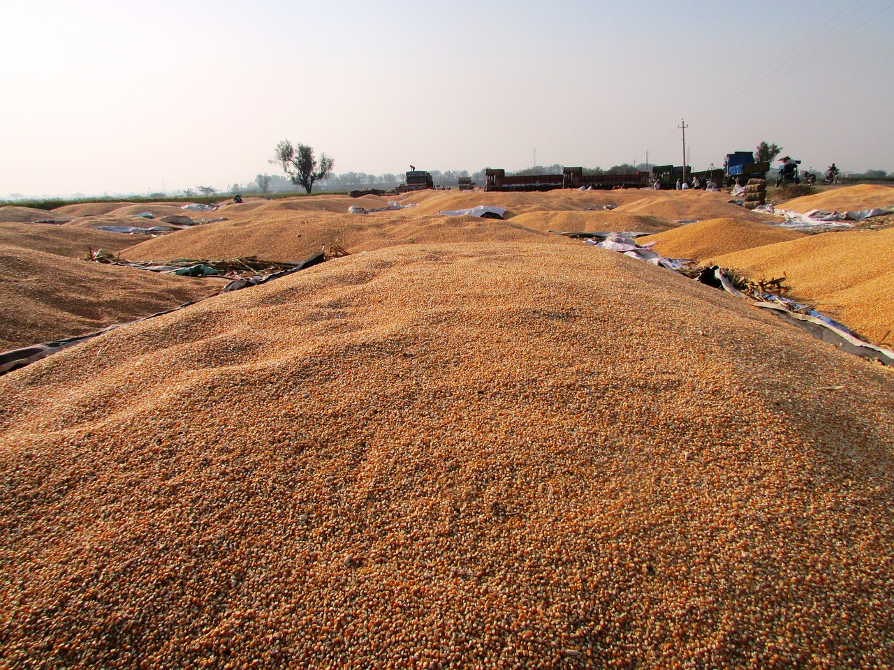 武漢公車拍賣最新動(dòng)態(tài)，公開(kāi)透明拍賣引領(lǐng)市場(chǎng)新風(fēng)向