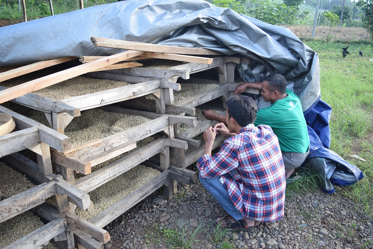 溧水土拍最新動態(tài)，市場動向及未來發(fā)展展望