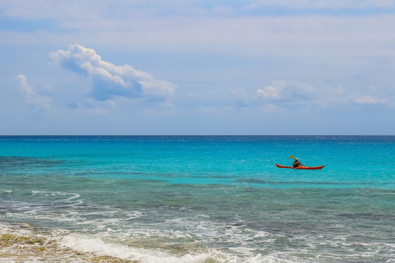 光緒元寶銅幣最新動(dòng)態(tài)，收藏市場(chǎng)的新焦點(diǎn)揭秘