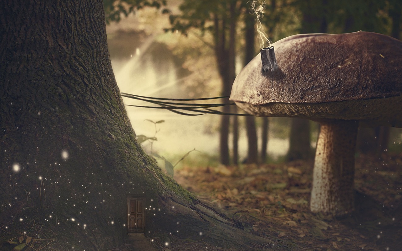 高考最新消息更新，最新動(dòng)態(tài)與變化解讀