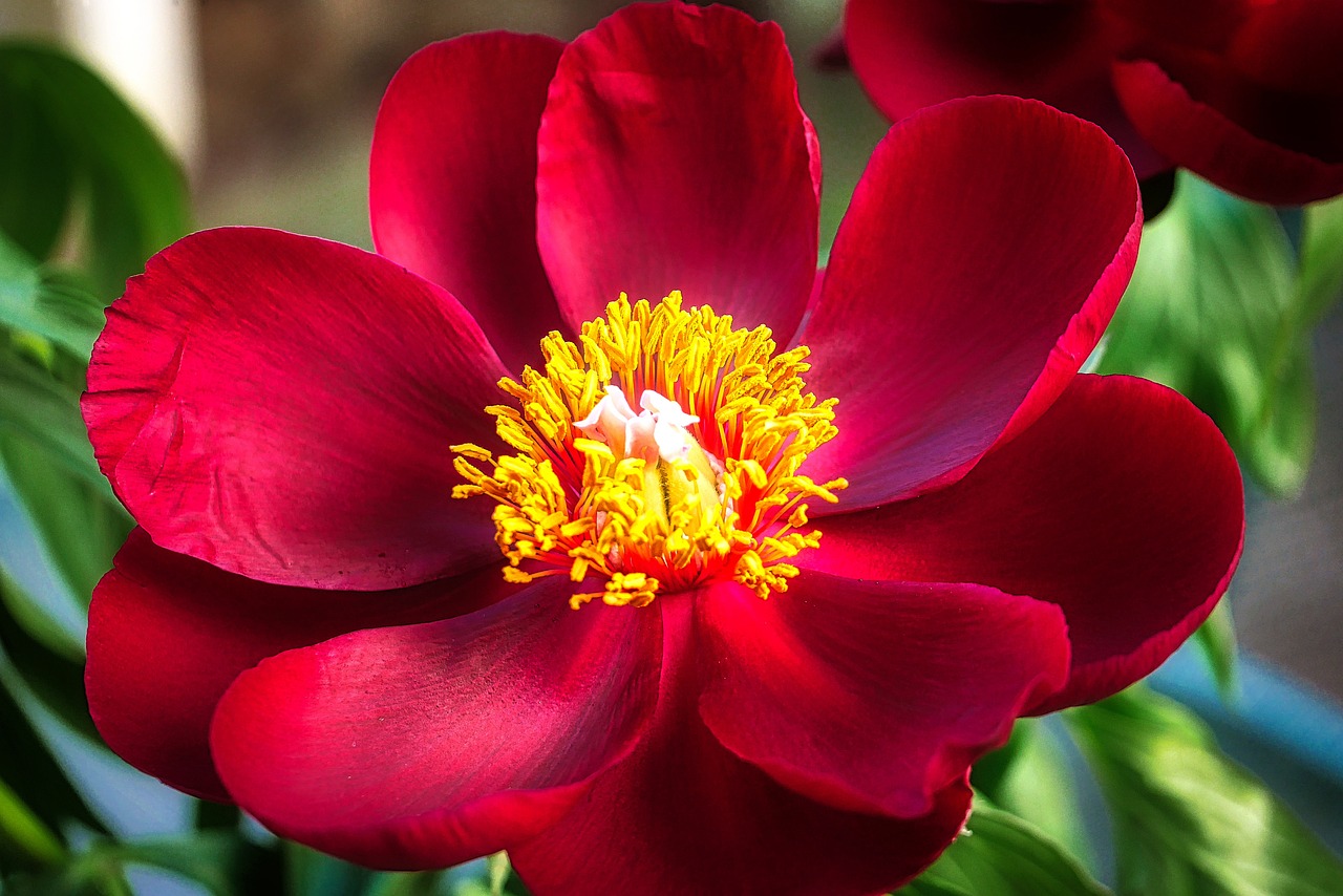 退休交醫(yī)保政策最新動(dòng)態(tài)，調(diào)整、展望與未來趨勢(shì)