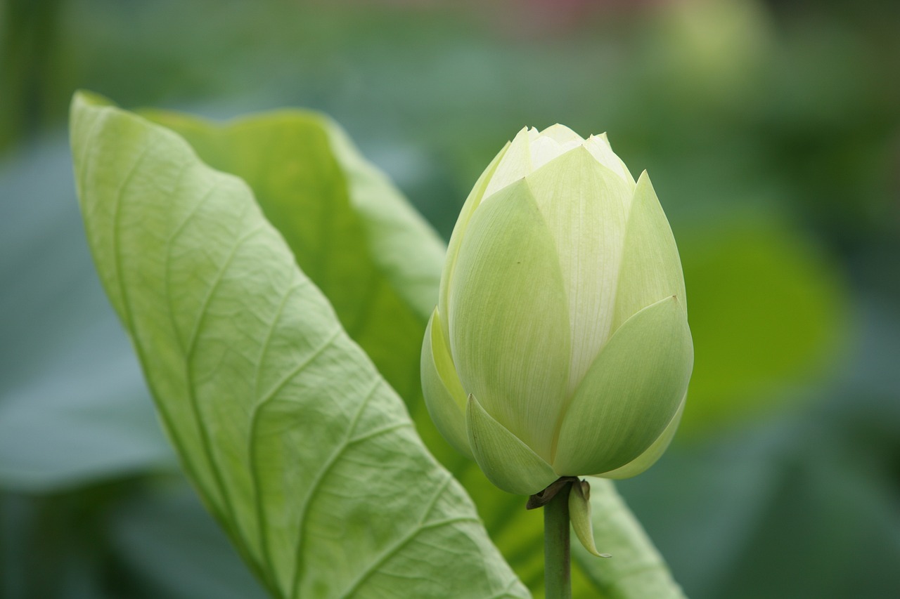 大地傳媒重組最新動(dòng)態(tài)，重塑傳媒產(chǎn)業(yè)格局取得重大進(jìn)展