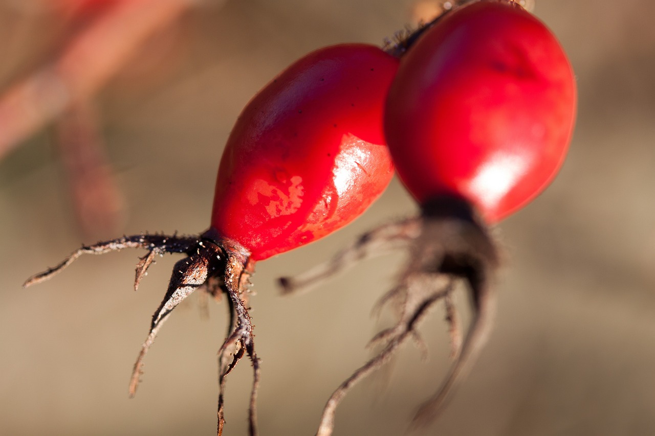 邳州工廠招工最新動態(tài)，探尋發(fā)展機(jī)遇，共筑美好未來