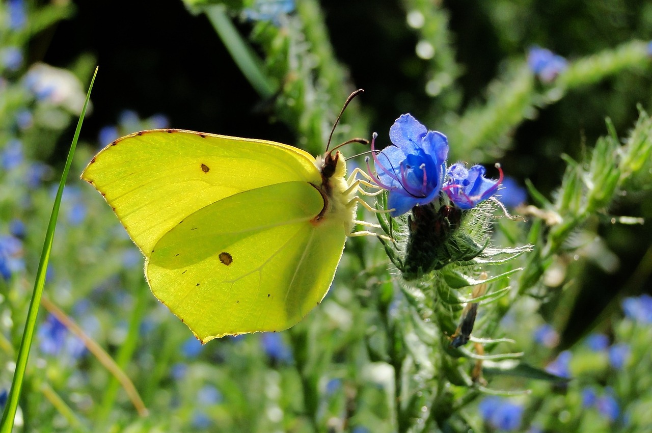 天津津南永旺最新狀況概覽，最新進展與動態(tài)更新