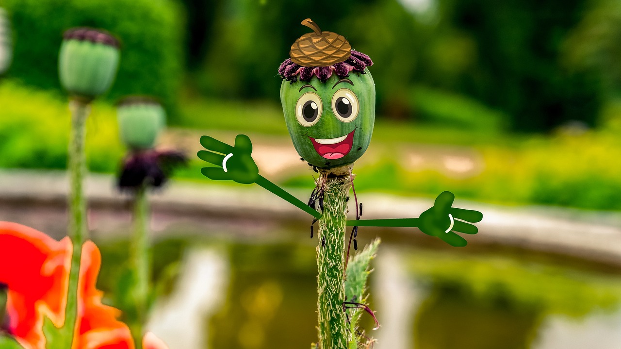 阿凡提下載免費(fèi)最新版，智慧與樂趣的完美融合體驗