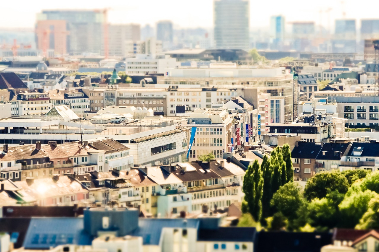 青浦新聞?lì)^條，城市發(fā)展與社區(qū)生活的脈搏與風(fēng)采