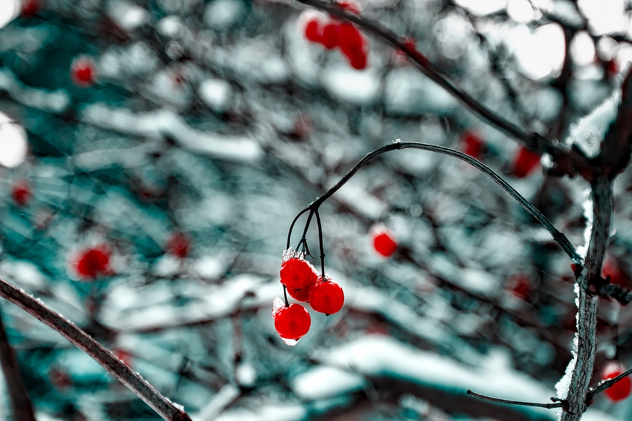 肖致遠(yuǎn)續(xù)寫(xiě)輝煌，一路青云最新進(jìn)展報(bào)道