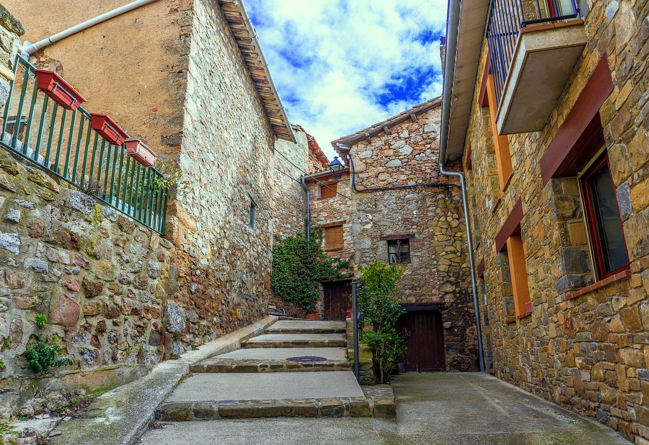 馮某針案最新進(jìn)展深度探究，最新動(dòng)態(tài)與情況更新（1.21版）