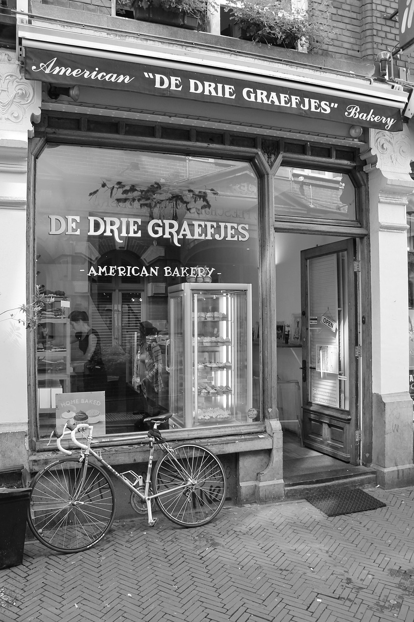 鳳翔湖濱世紀(jì)最新動態(tài)，成為城市發(fā)展的璀璨明珠