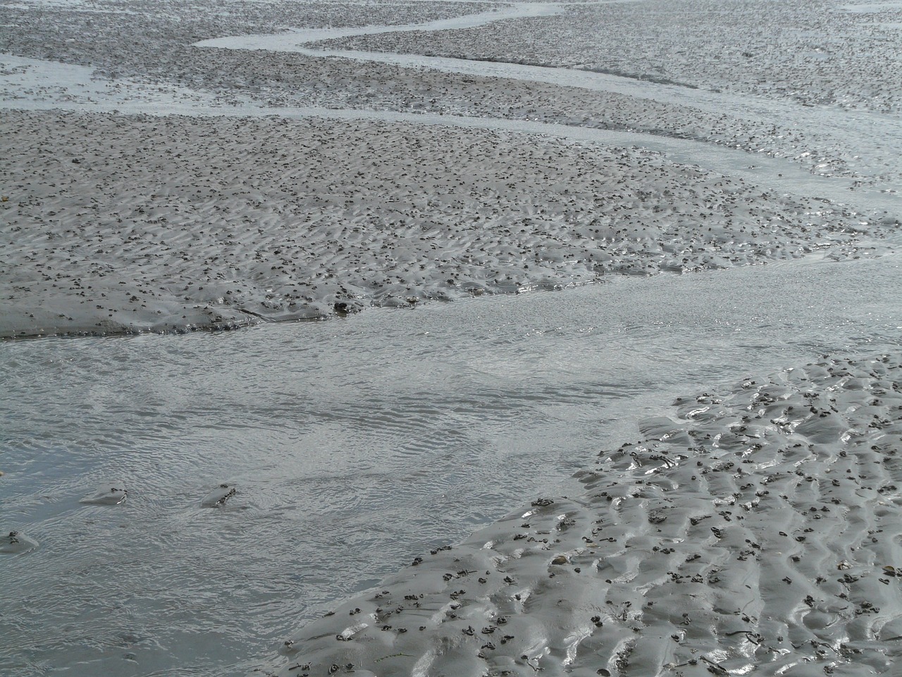 北海傳銷最新動態(tài)曝光，真相揭秘與風(fēng)險警惕
