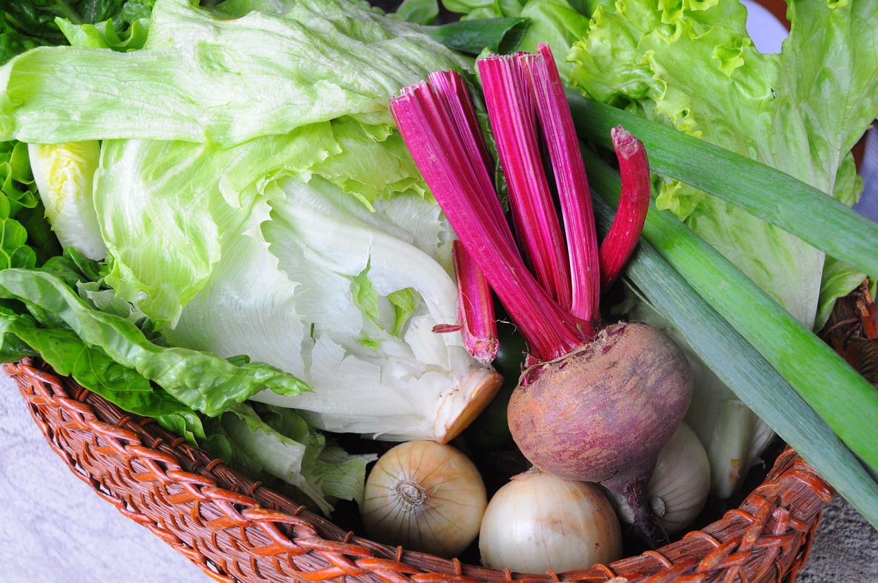 臺風最新動態(tài)，廣泛影響需加強防范