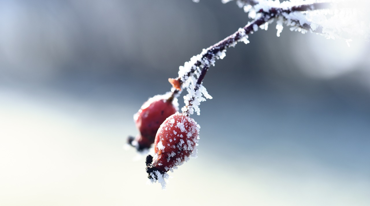 資興新房出售最新消息揭秘，最新房源動(dòng)態(tài)與優(yōu)惠信息一網(wǎng)打盡！