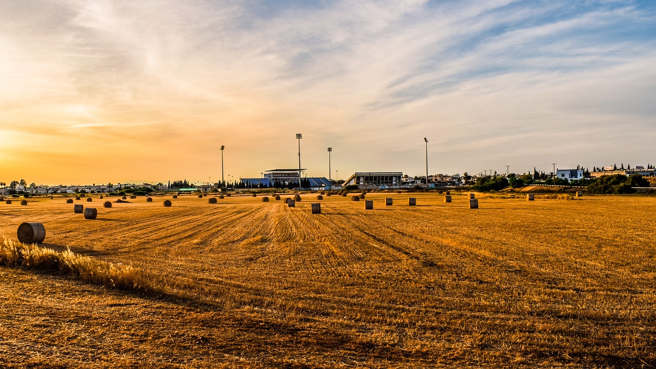 地稅機構改革最新動態(tài)，深化稅務改革，優(yōu)化服務以提升效率