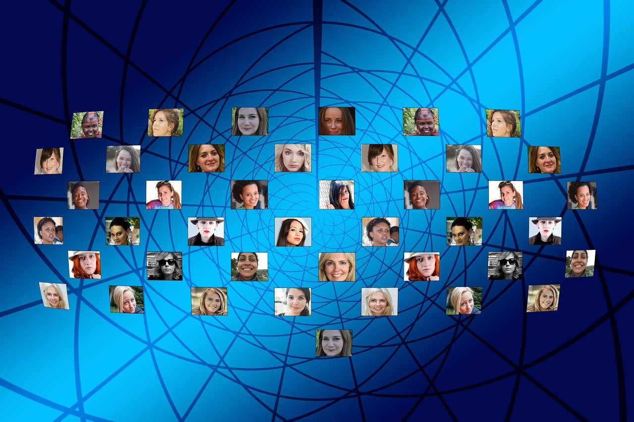 多寶魚市場(chǎng)最新動(dòng)態(tài)與行業(yè)深度解析，發(fā)展趨勢(shì)與市場(chǎng)新聞速遞