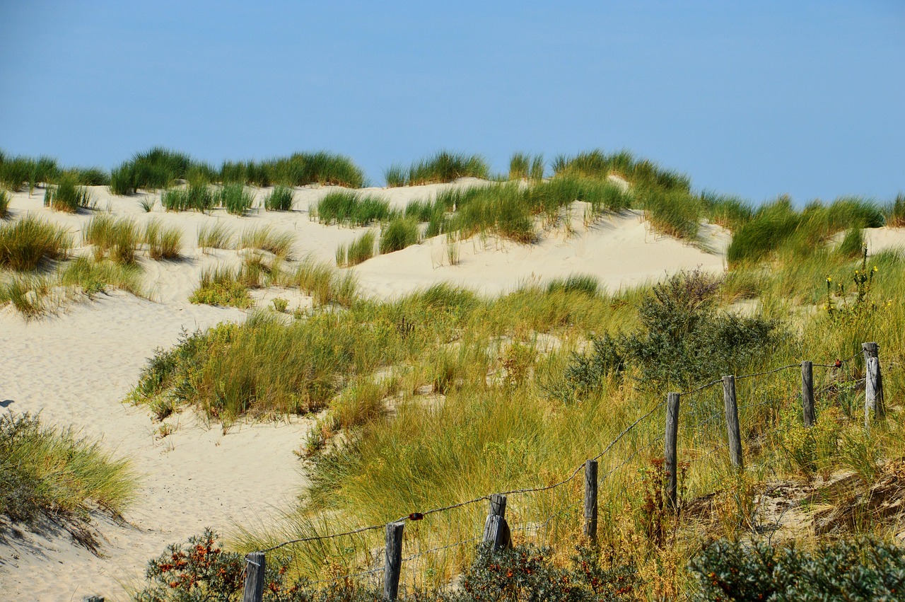 海啟高速如東最新消息概覽，最新動態(tài)與進展報告