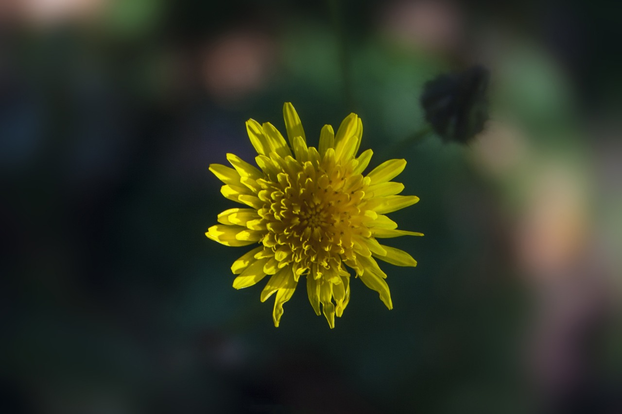 湛江仁海花園最新動態(tài)更新